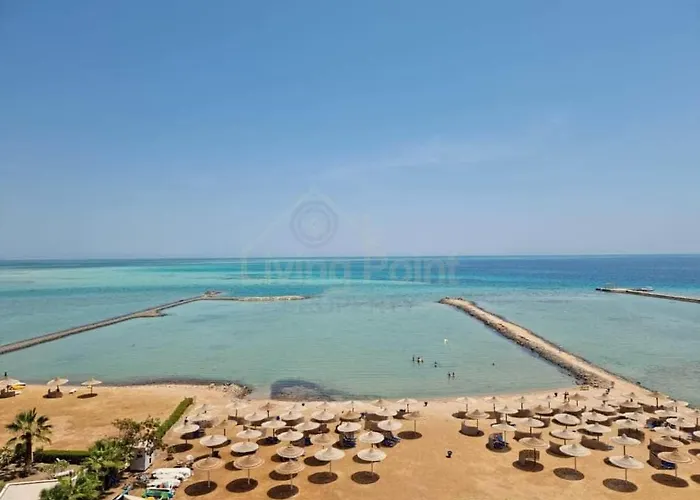 Turtles Ed Seaview
